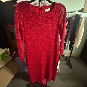 Calvin Klein Scarlet Lace Long Sleeve Dress